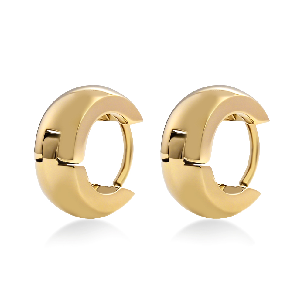 Petite Chic Stainless Steel Earrings Perfect Everyday Party Jewelry | Hypoallergenic