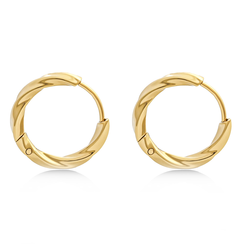 Stainless steel twisted earrings