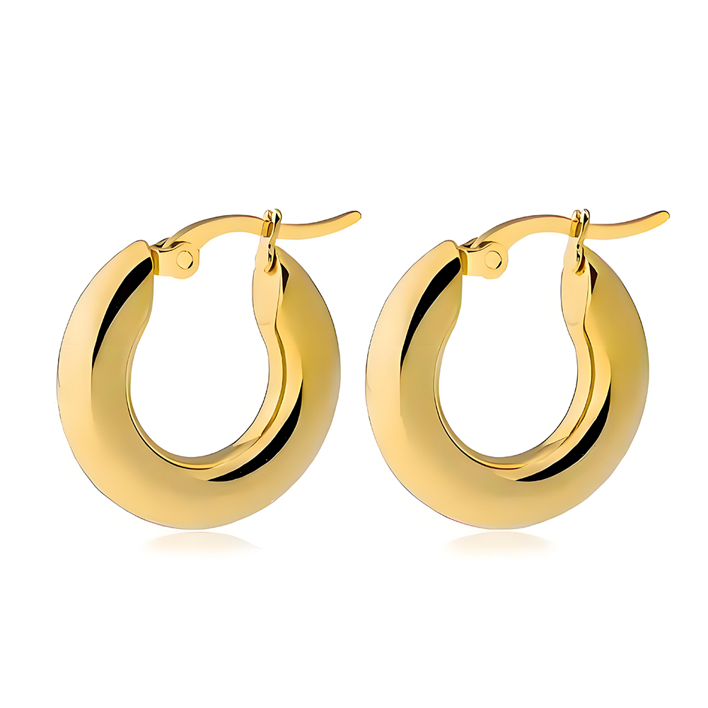 Simple design ladies' earrings, made of stainless steel, with unique design sense