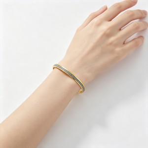 everyday casual accessory